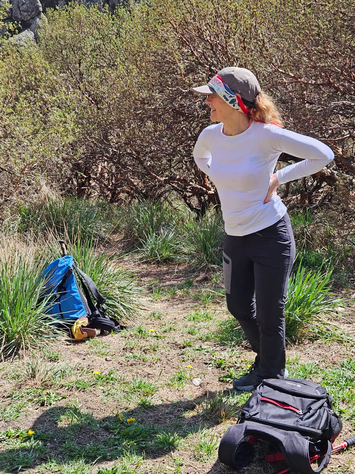 Los Gigantes - Panorámica